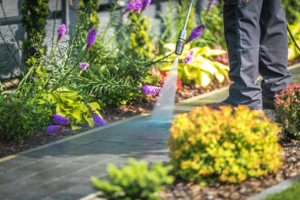 Best Driveway Pressure Washing  in Steubenville, OH